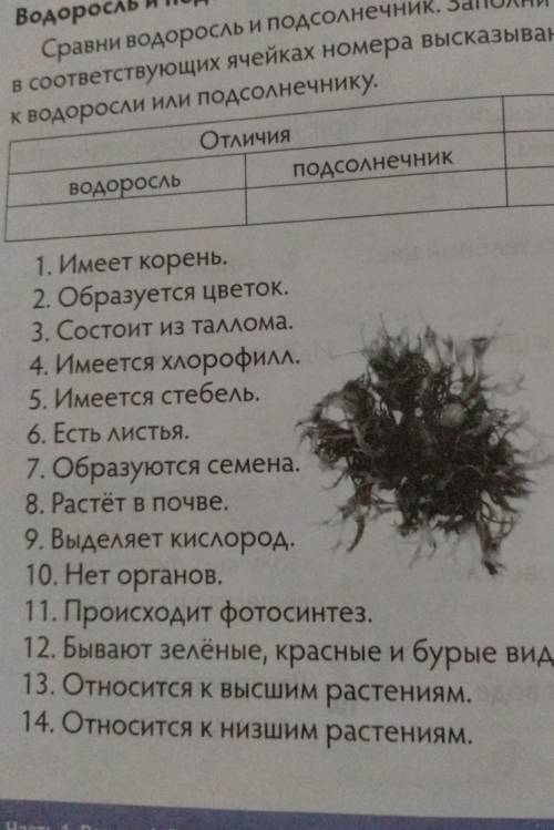 Сравни водоросли и подсолнечник заполни таблицу напиши соответствие яичек номер высказывания относящ