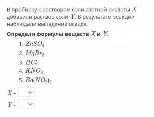 В пробирку с раствором соли азотной кислоты X добавили раствор соли Y. В результате реакции наблюдал