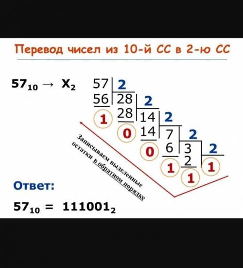 Придумайте одно однозначное, одно двузначное и одно трехзначное число. Переведите их в двоичное числ