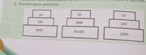 Определите, по каким признакам можно отличить графические изображения пирамид численности, биомассы