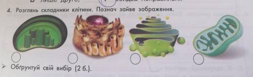 Травил 4. Розглянь Складники клітини. Познач зайве зображення Обгрунтуй свій вибір (2 б