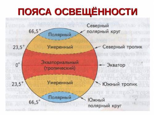 Какие высказывания являются верными? (Может быть несколько вариантов ответа.) В Южном полушарии сама