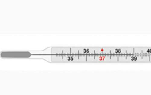 На рисунке изображён термометр. Определите, какую температуру он покажет, если столбик ртути опустит