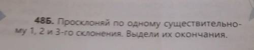 48Б. Просклоняй по одному существительно- му 1, 2 и 3-го склонения. Выдели их окончания