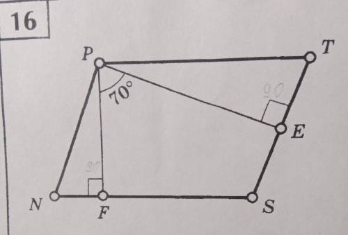 Нужно найти все неизвестные углы угол P угол N угол F угол S угол E угол T