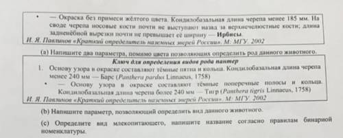 . На рисунке изображено животное из семейства кошачьих, рода Пантеры. (a) Напишите два параметра, по