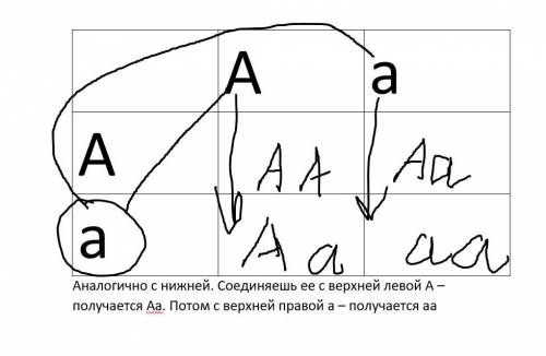 ОПРЕДЕЛИТЕ СООТНОШЕНИЕ ГЕНОТИПОВ ПРИ СКРЕЩИВАНИИ.Аа × АаС ОБЪЯСНЕНИЕМ