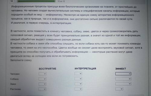 Информационные процессы присущи всем биологическим организмам на планете, от простейших до человека.