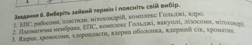 Завдання 6. Виберіть зайвий термін і поясніть свій вибір. 1. ЕПС, рибосоми, пластиди, мітохондрій, к