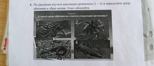 По рисункам изучите адаптации организмов и определите среду обитания и образ жизни. ответ обоснуйте