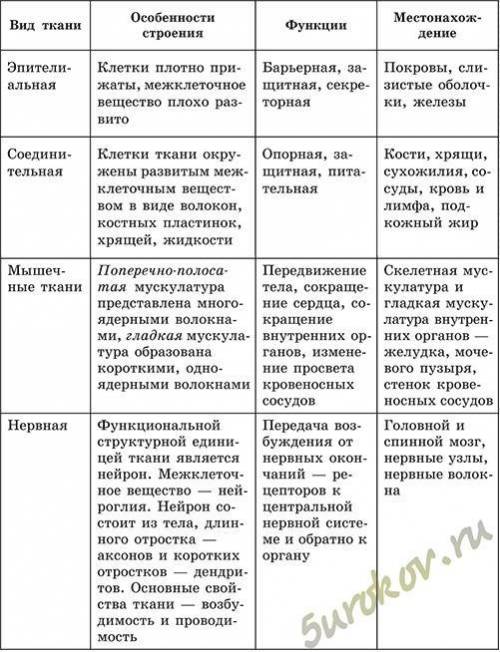 Таблица по биологии ткани организма человека 1. Тип ткани 2. Рисунок 3. Строение ткани, разновидност