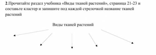 Составить кластер по биологии !