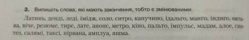 3.Випишіть слова , які мають закінчення , тобто є змінюванням. Латинь, денді, леді, імідж, соло, сит