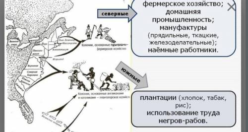 ❗ Используя данные схемы, закончите предложения. По данным схемы можно утверждать, что в северных к