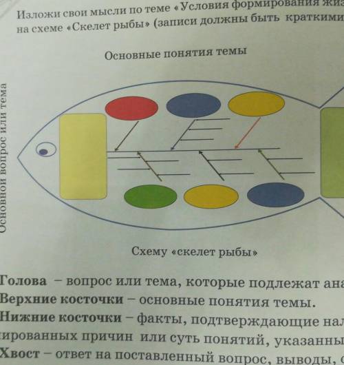 Изложи свои мысли по теме « Условия формирования жизни на Земле, на схеме «Скелет рыбы» (записи долж