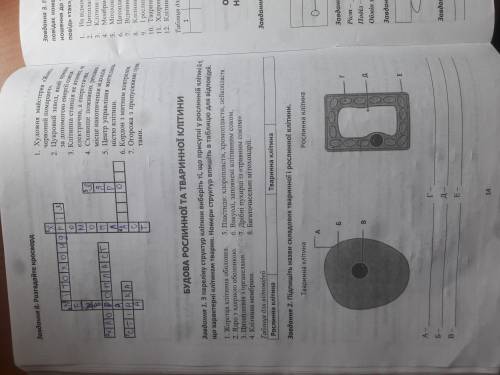 Зошит з біології яременко 6 клас 10 сторінка, 14 сторінка