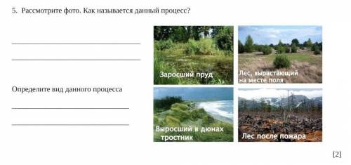 5. Рассмотрите фото. Как называется данный процесс?Определите вид данного процесса !