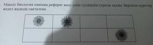 Мақсат биология пәнінен жазу үшін гүлдердің суретін салды. Берілген суреттер жедел жадыда сақталған