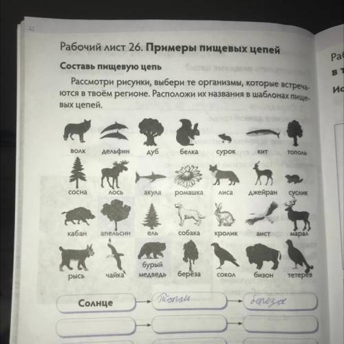 Составь пищевую цепь Рассмотри рисунки, выбери те организмы, которые встреча- ются в твоём регионе.