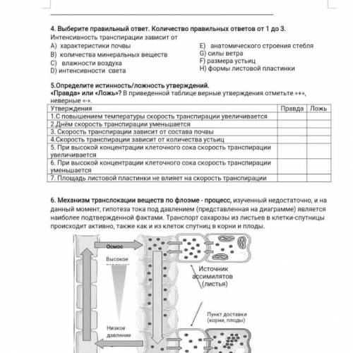 5.Определите истинность/ложность утверждений. «Правда» или «Ложь»? В приведенной таблице верные утве