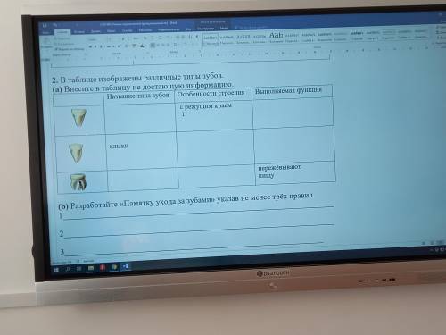В таблице изображены различные типы зубов. (а) Внесите в таблицу не достающую информацию. Название т
