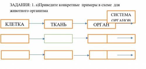 ЗАДАНИЯ: 1. а)Приведите конкретные примеры в схеме для животного организма