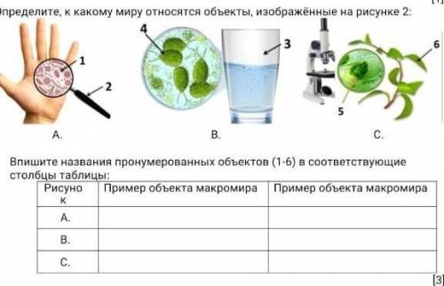 3. Определите, к какому миру относятся объекты, изображённые на рисунке 2: 6 3 1 2 5 А. В. Впишите н