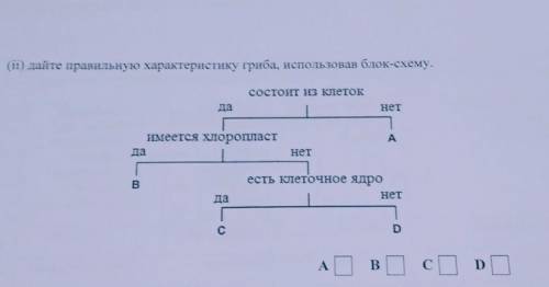 ДАЙТЕ ПРАВИЛЬНУЮ ХАРАКТЕРИСТИКУ ГРИБА ИСПОЛЬЗУЯ БЛОК-СХЕМУ (ВСЕ НА ФОТО)