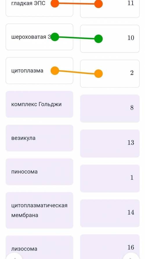 Позначте строение клетки