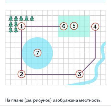 Найдите площадь болота отмеченного на плане. Болота под номером-5