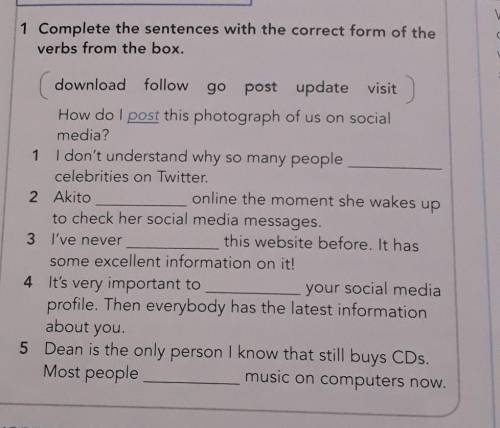 Complete the sentences with the correct form of the verbs from the box.