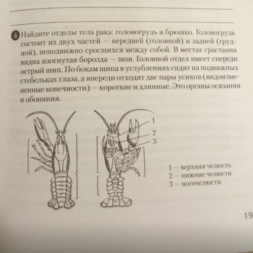 , БИОЛГОИЯ СДЕЛАЙТЕ ПЛИТИЗ