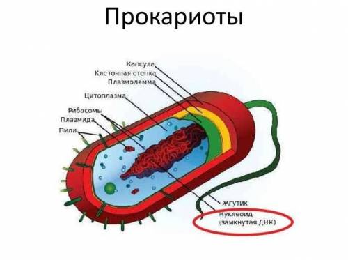 нужно использовать всё