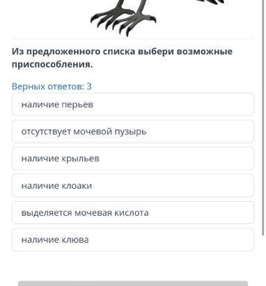 . Птицы относятся к наземным животным. Имеют при к выделению в связи с возможностью к полёту. Из пр