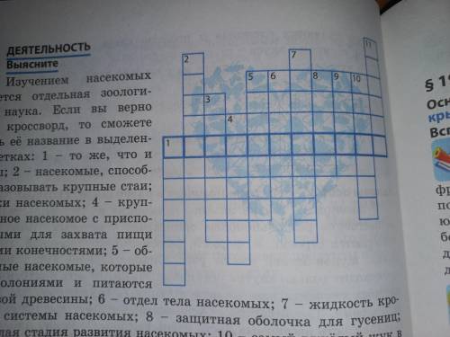 КРОССВОРД .1.то же, что и зародыш; 2 - насекомые образовывать крупные стаи; 3 - усики насекомых; 4 -