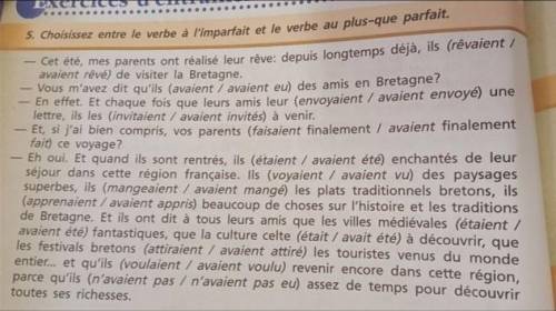 Choisissez entre le verbe à l'imparfait et le verbe au plus-que parfait. - Cet été, mes parents ont