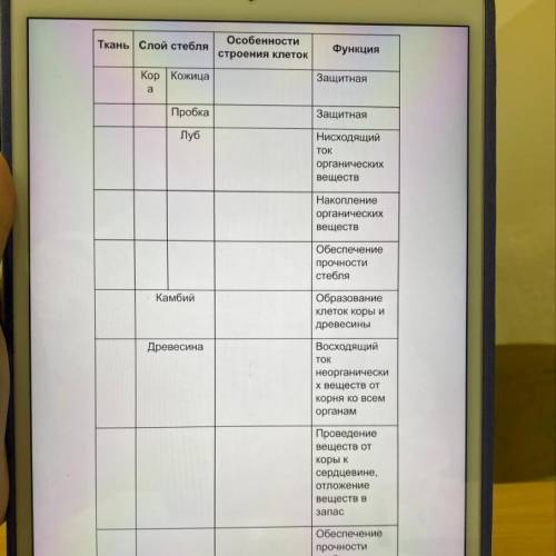 2. Заполните таблицу «Единство строения и функции тканей Стебля».