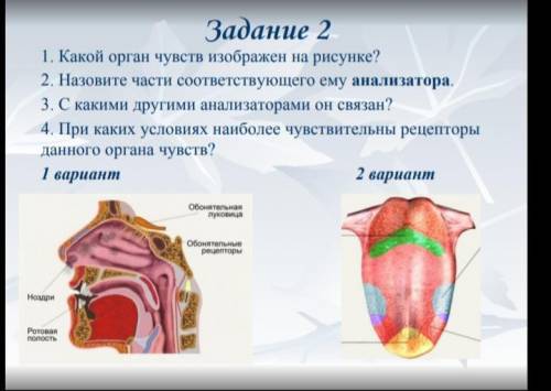 РЕШИТЬ 1 ВАРИАНТ. БУДУ ОЧЕНЬ БЛАГОДАРЕН