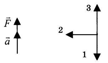 На одном из рисунков изображено направление двух векторов – вектора силы и вектора ускорения. Куда б
