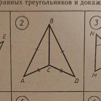 Найти пары равных треугольников и доказать их равенство.