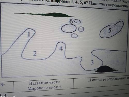 Какие части мирового океана указаны на картосхеме под цифрами 1,4,5,6 напишите определение