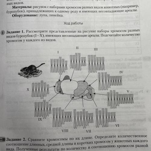 , Надо определит количество хромосом у каждого номера и количественное соотношение хромосом различно