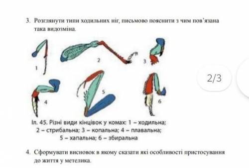 Практична робота по биолигии