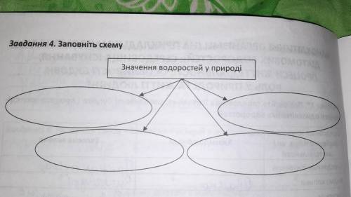 КТО ОТВЕТИТ ТОТ ИДЕАЛЬНЫЙ ГЕНИЙ И ТОП ЧЕЛ.