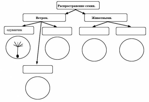 Задание 2 ( ). Как выполнять задания по работе с текстом и дополнительными источниками по биологии Д