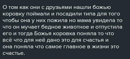 Какие изобразительные средства Рубина использовала в рассказе божья коровка