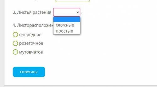 Дано изображение растения. Рассмотри его и дополни предложения. 1. Жилкование листа данного растения