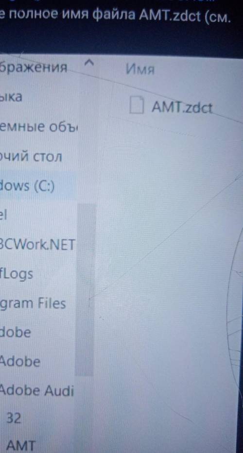 Напишите полно имя файла AMT.zdct