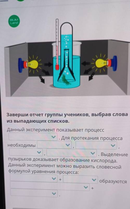 Заверши отчёт группы учеников, выбрав слова из выпадающих списков.