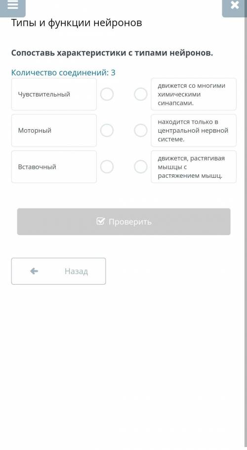 Сопоставь характеристики с типами нейронов